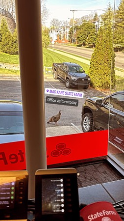 Images Mac Kane - State Farm Insurance Agent
