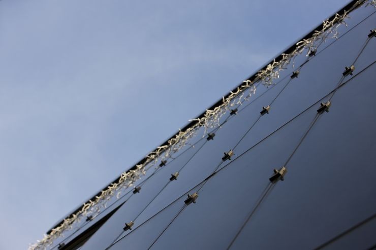 Bild 8 von in vitro veritas GmbH GLAS-TSCHEBULL.AT