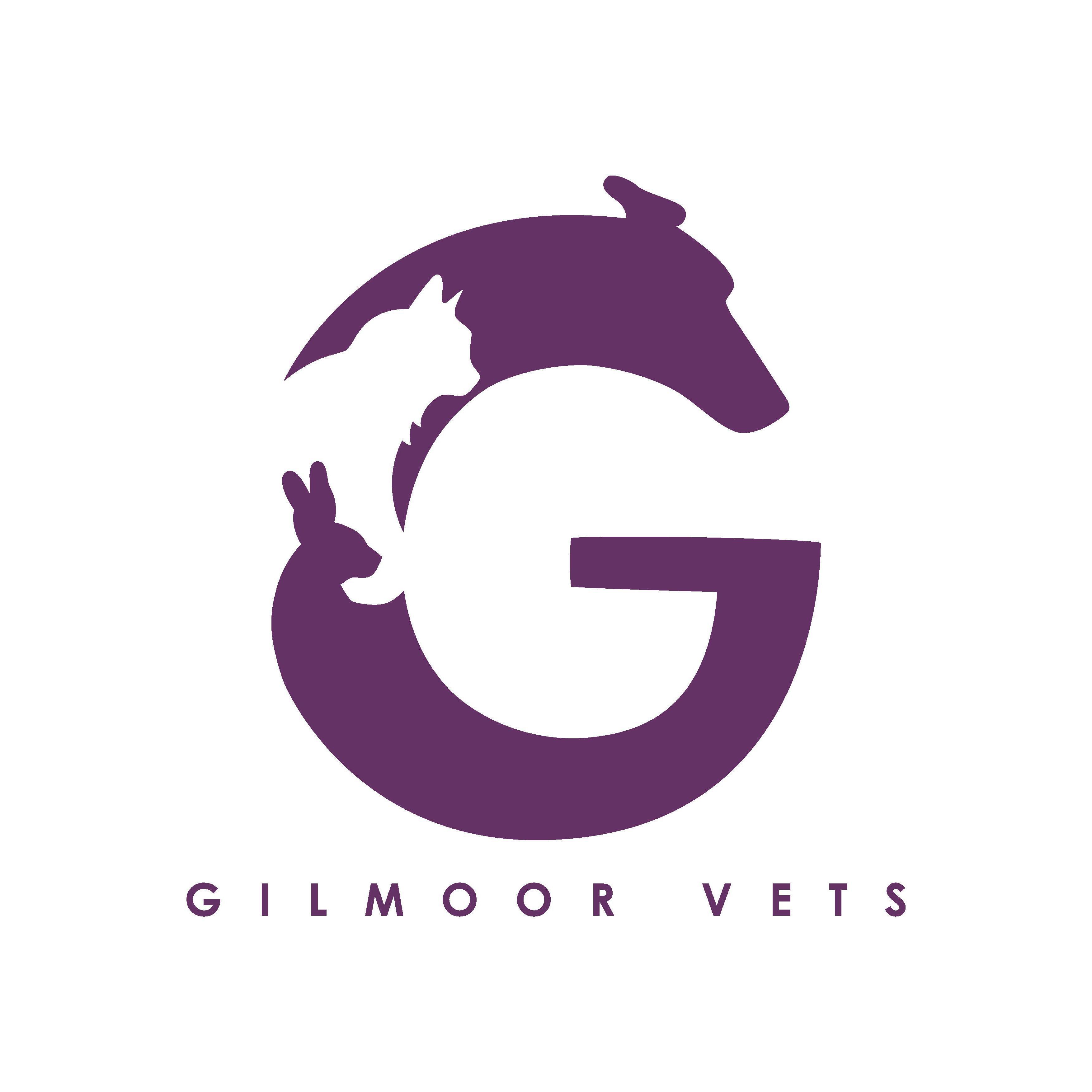 Gilmoor Vets, Durham Logo