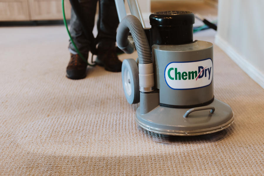 Immaculate Home Chem-Dry technician performing carpet cleaning in Torrance, CA