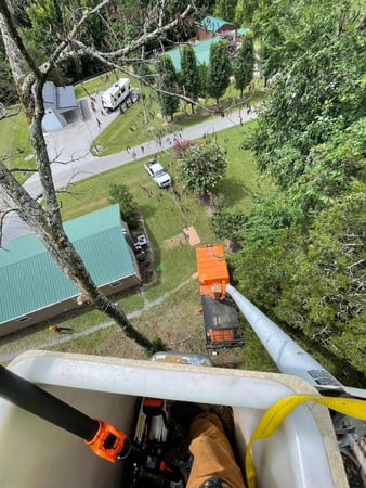 Images Area Tree Service LLC