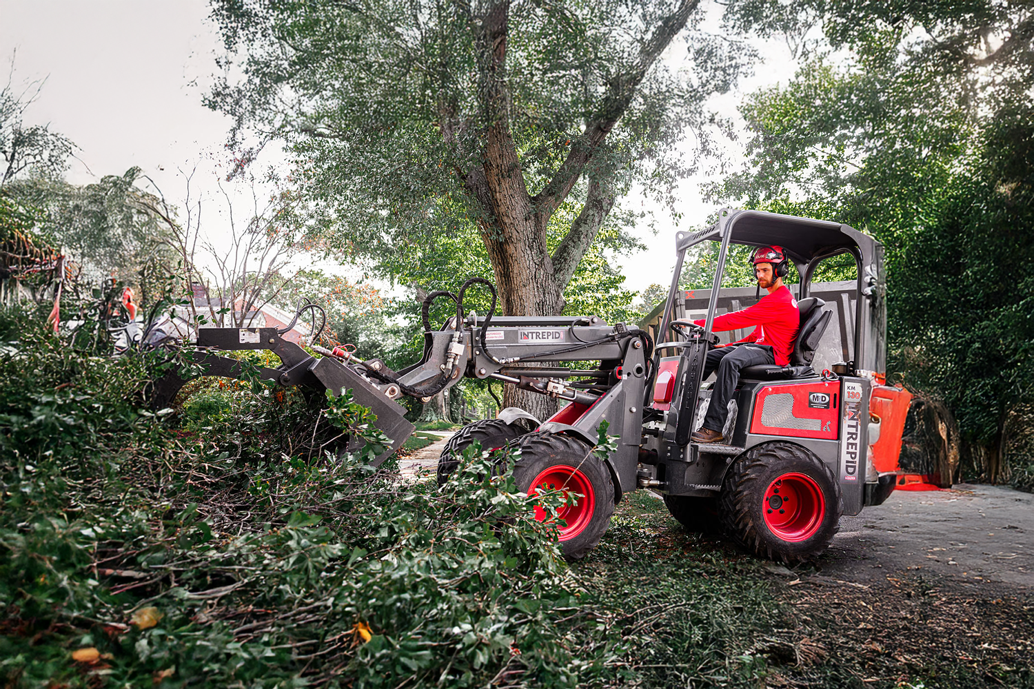 Marketing for Tree Services