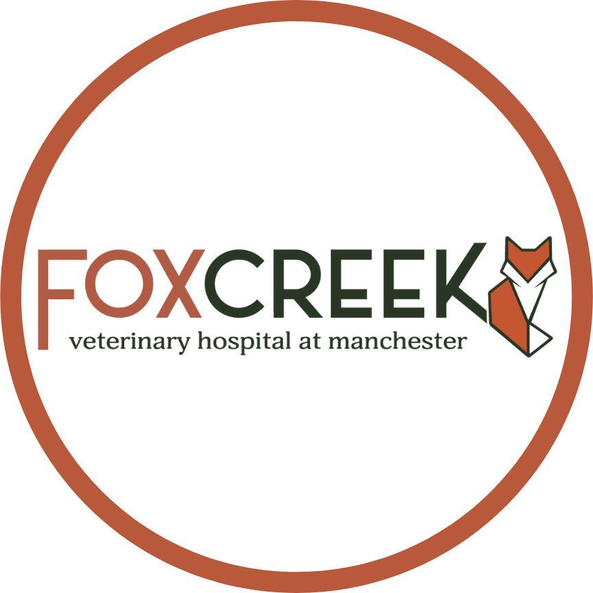 Fox Creek Veterinary Hospital at Manchester Avenue - Manchester, MO 63011 - (636)458-6569 | ShowMeLocal.com