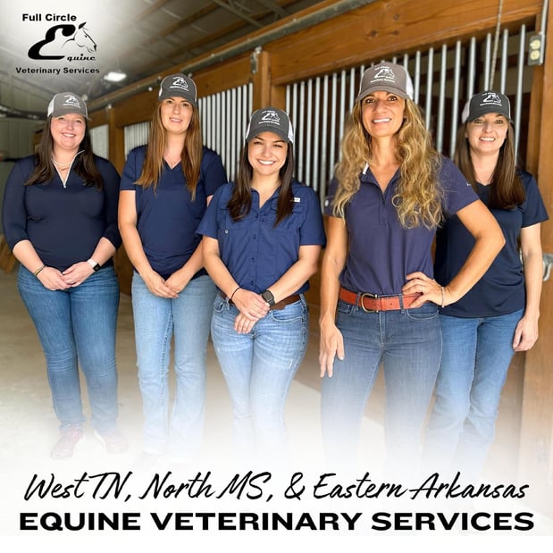 Images FULL CIRCLE EQUINE VETERINARY SERVICES