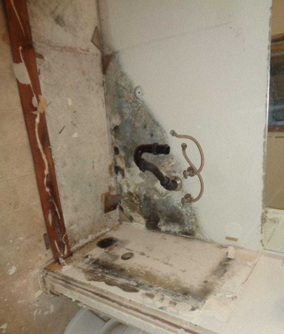 A small leak can become a big problem.  Call SERVPRO of Peoria/W. Glendale when you need mold remediation services.