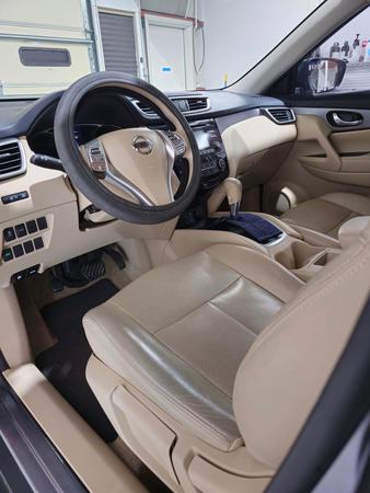 Images Top Dog Auto Ceramics