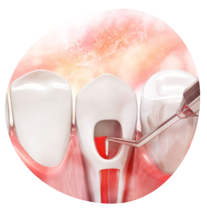 Zahnarztpraxis Dr. Indra Nyamaa, Mutschellestr. 1 in München