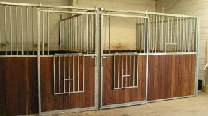 Images Aakirkeby Dyreklinik