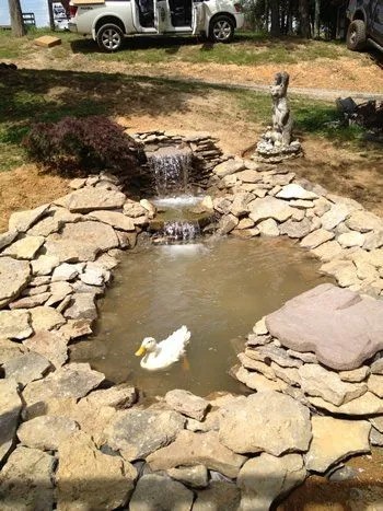 Images Advanced Landscape Services