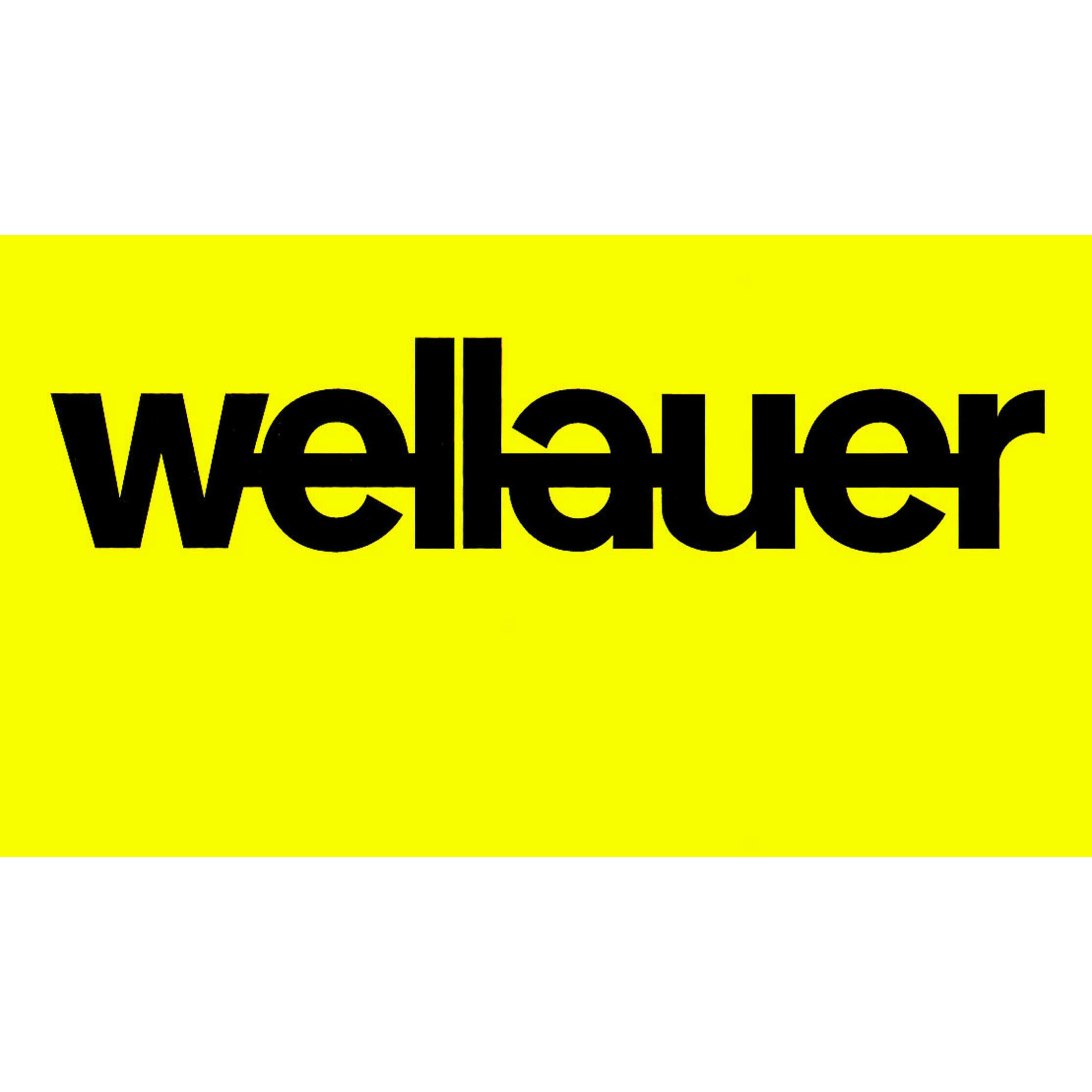 H. Wellauer AG Logo