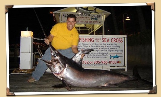 Swordfish Estimated at Over 500 lbs!