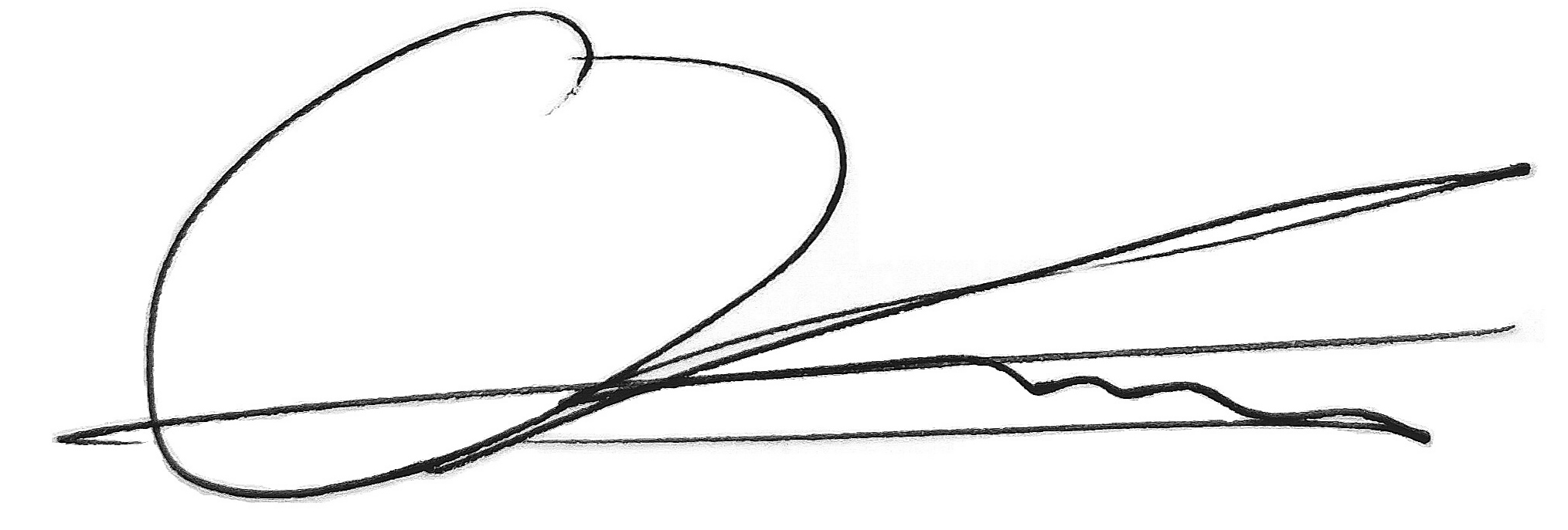 Signature.jpg