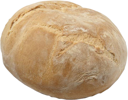 Images Spiga Dorata Srl