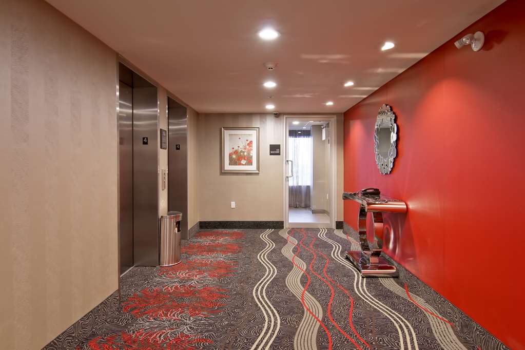 Lobby Hampton Inn & Suites by Hilton Toronto Markham Markham (905)752-5600
