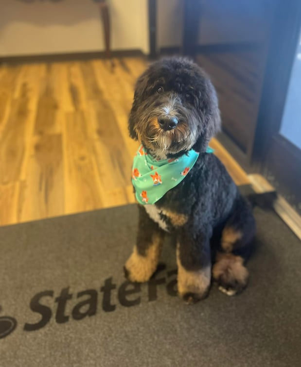 Images Courtny Tyler - State Farm Insurance Agent
