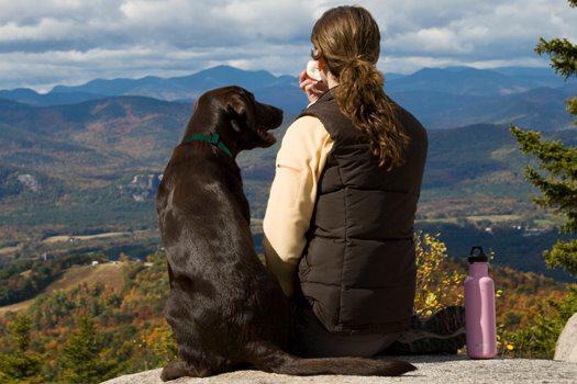 Images Great Outdogs