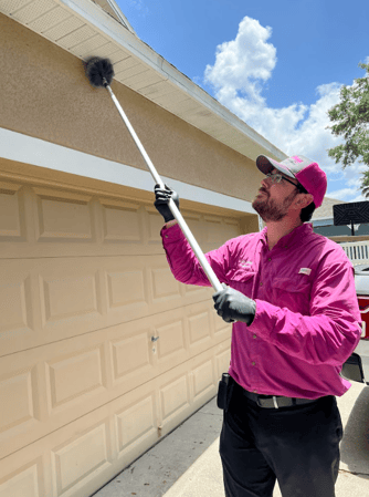 Images LydyBug Pest Control