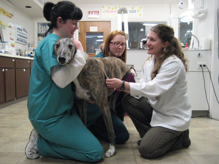 Images VCA Northboro Animal Hospital