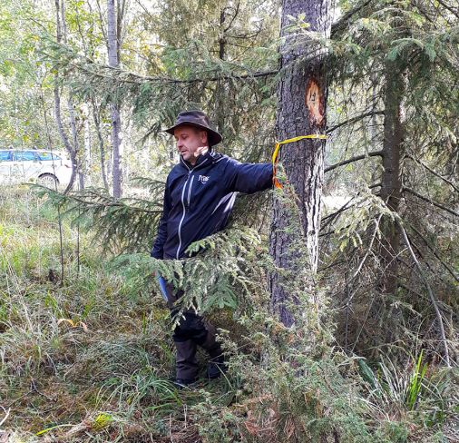 Images MoniMetsä Marttinen Oy
