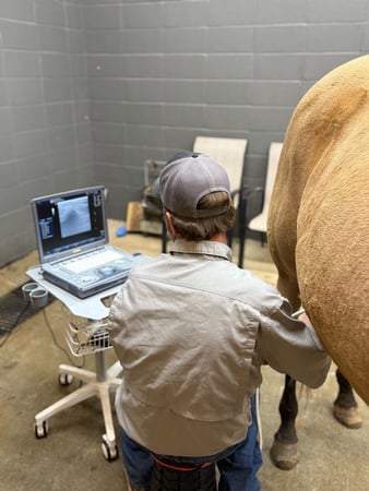 Images Purvis Animal Clinic & Equine Hospital