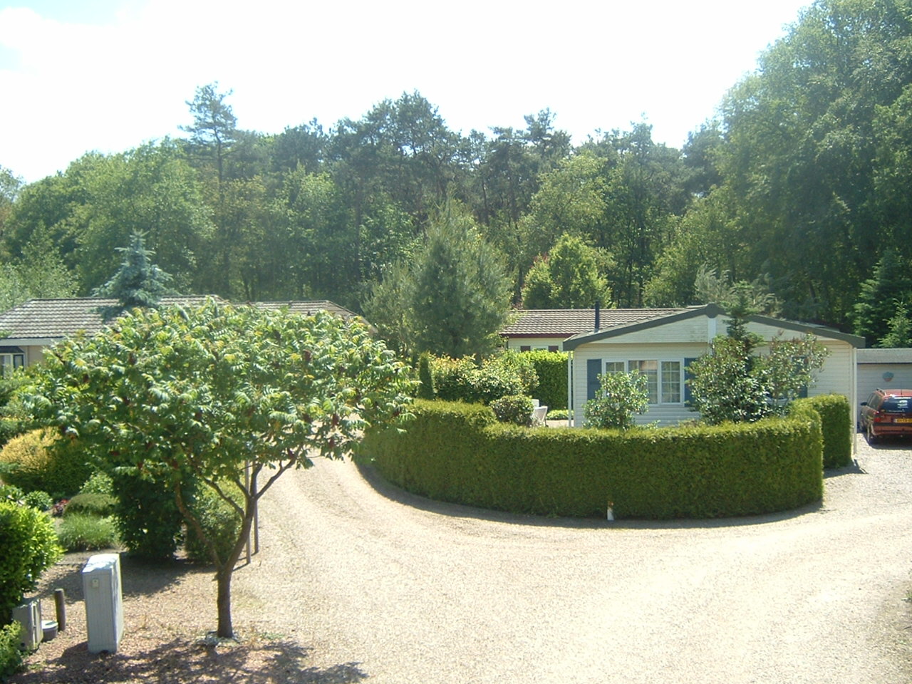 Gallery thumbnail