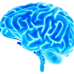 Hearing and Brain Centers of America- Santa Clara & Ivins, Utah Tinnitus Relief Logo
