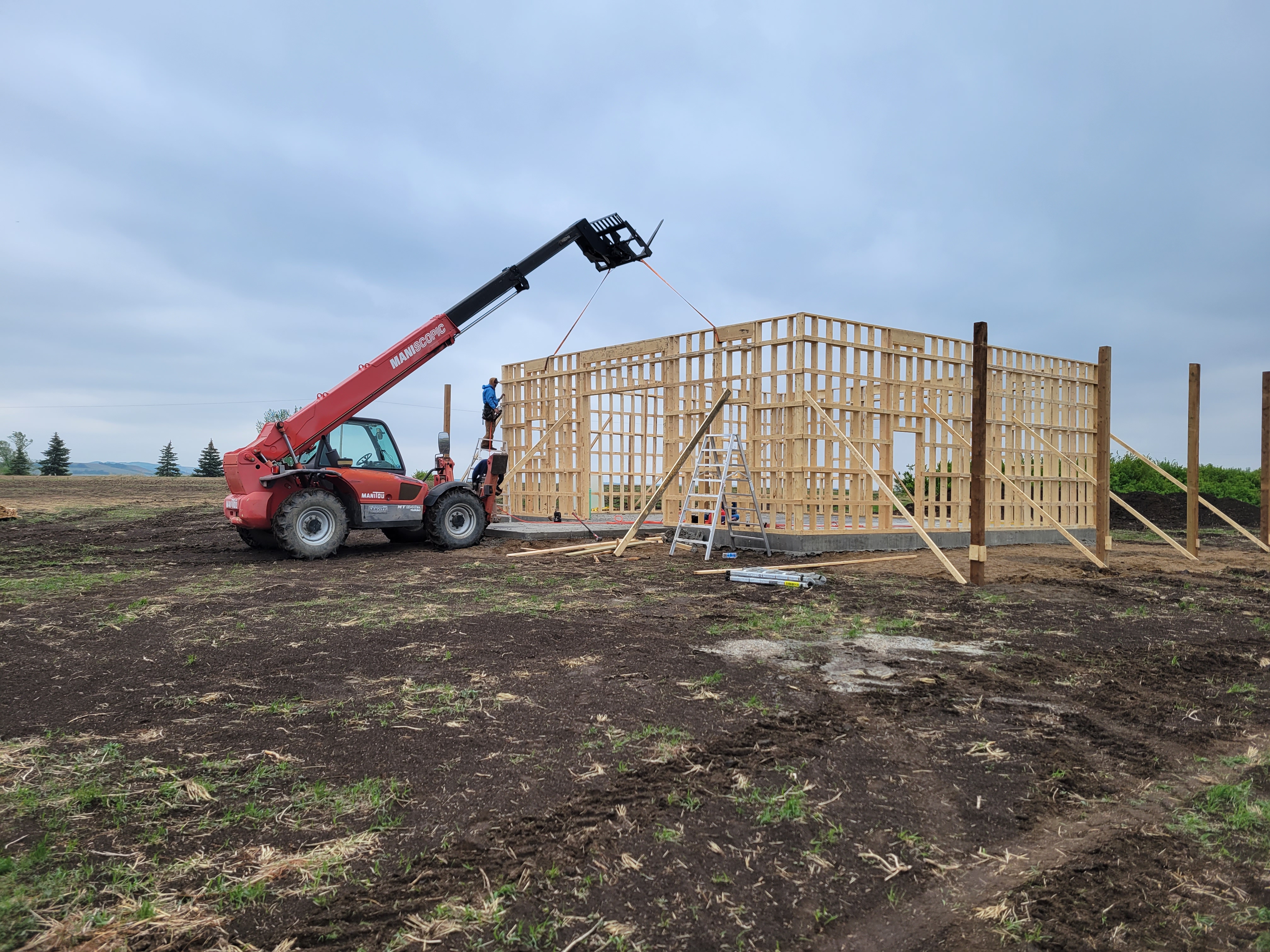 Images The Blue Spruce Builder