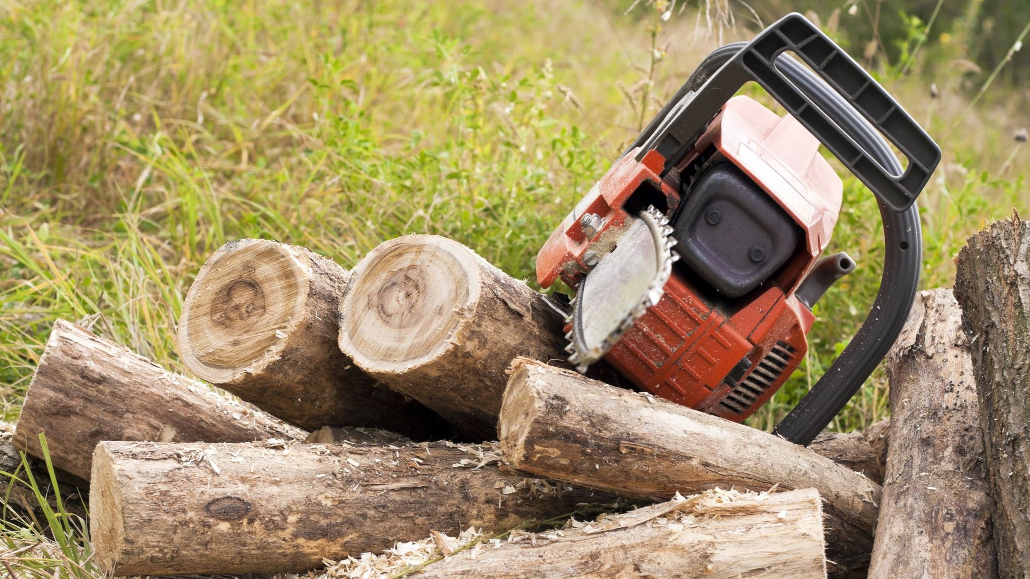 Images Vogt - Maisemointipalvelut