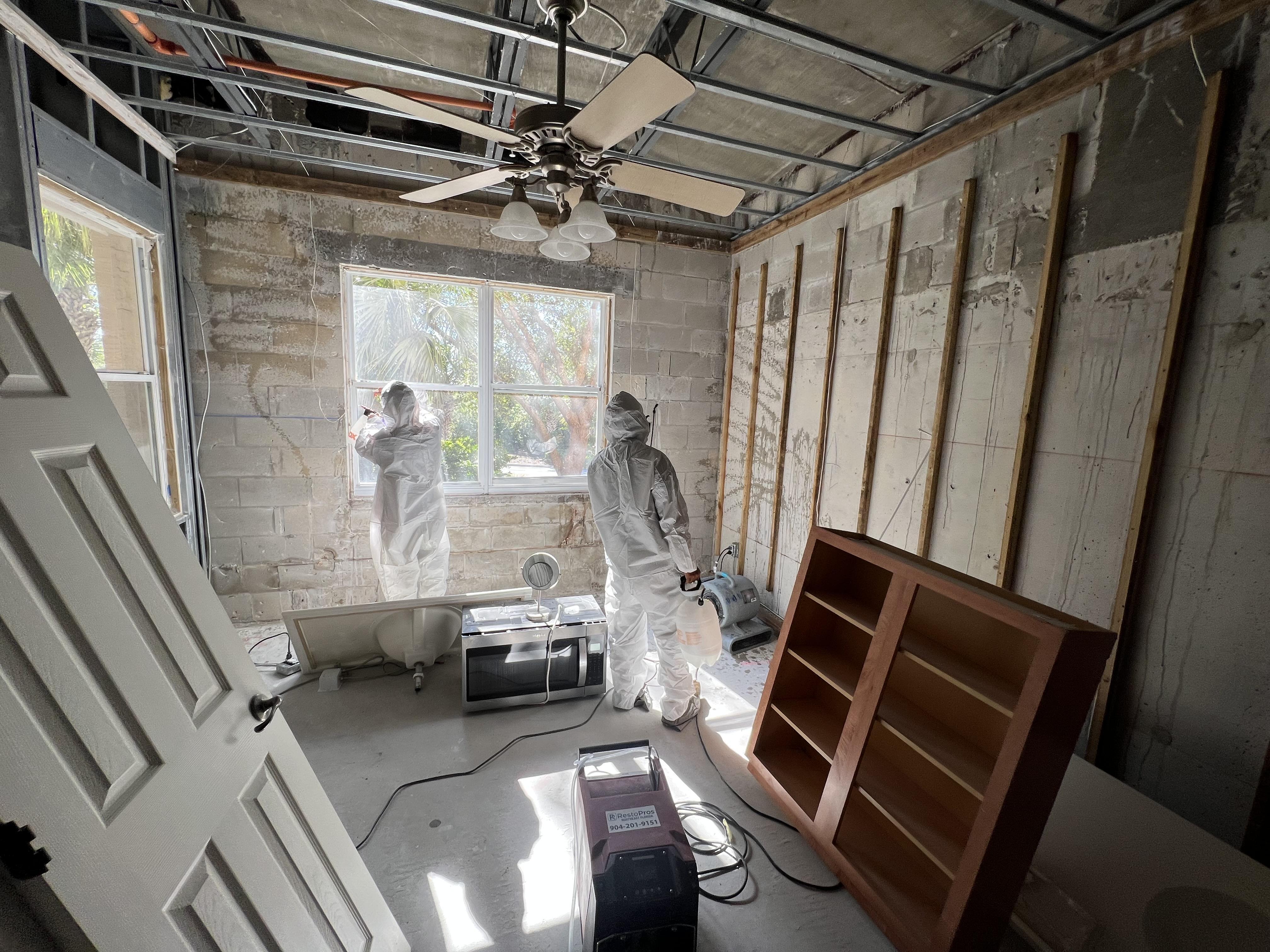 Water Damage Restoration and Mold Mitigation