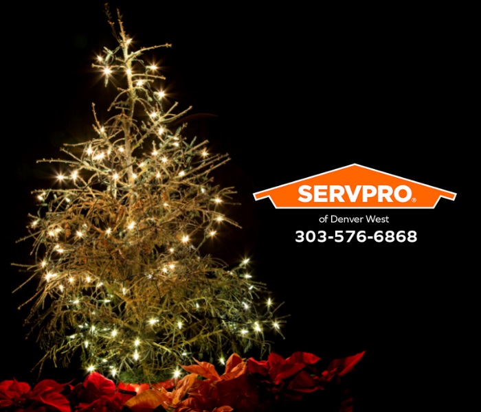 SERVPRO® of Denver West responds to fire damage emergencies every winter season, some of which are caused by dry Christmas trees. To learn about Denver’s Treecycle program, read our latest blog here.