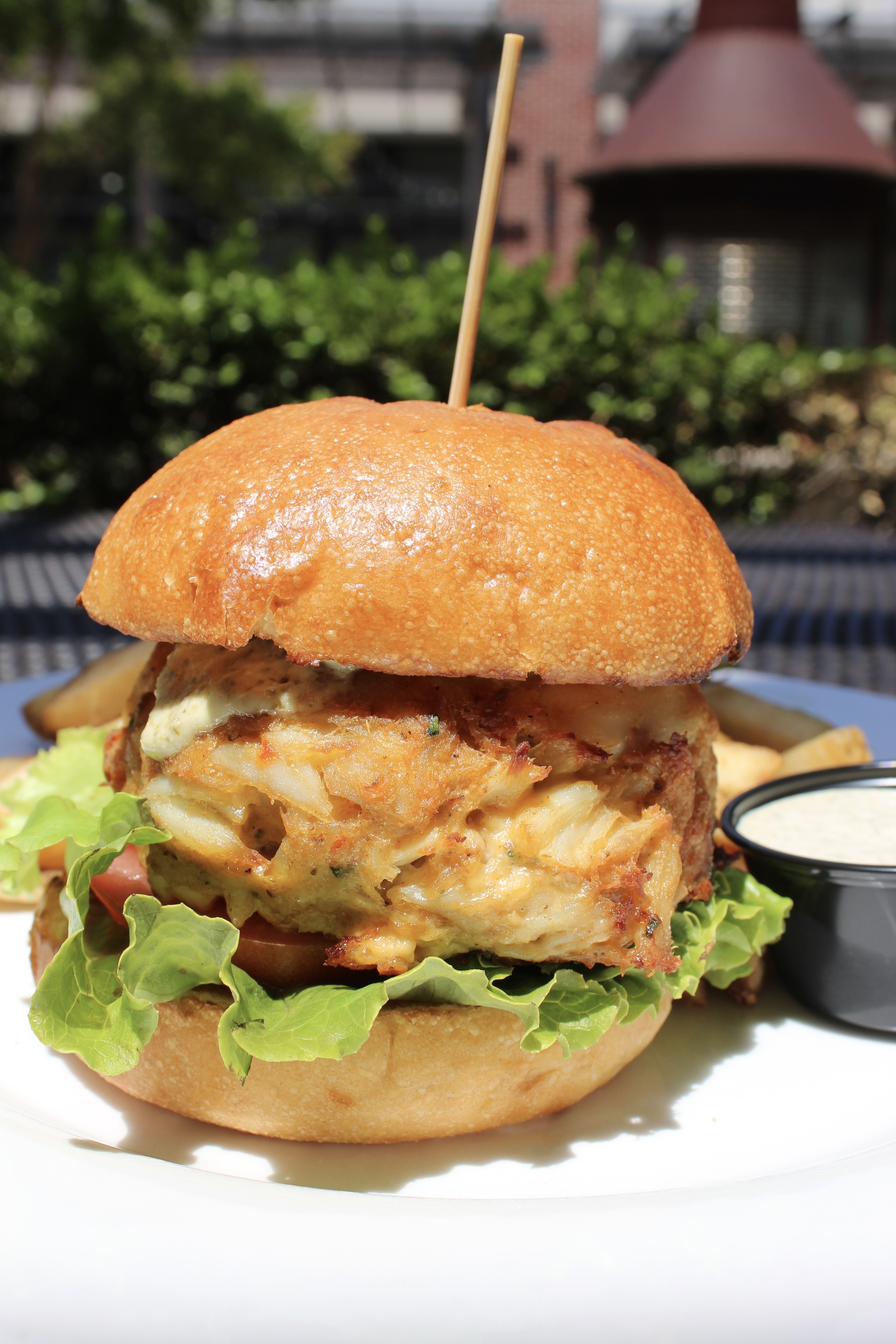 Jumbo Lump Crab Cake Sandwich 