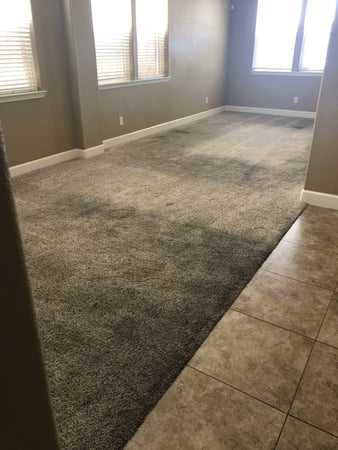 Images Carpet Pro Carpet Cleaning & Dyeing