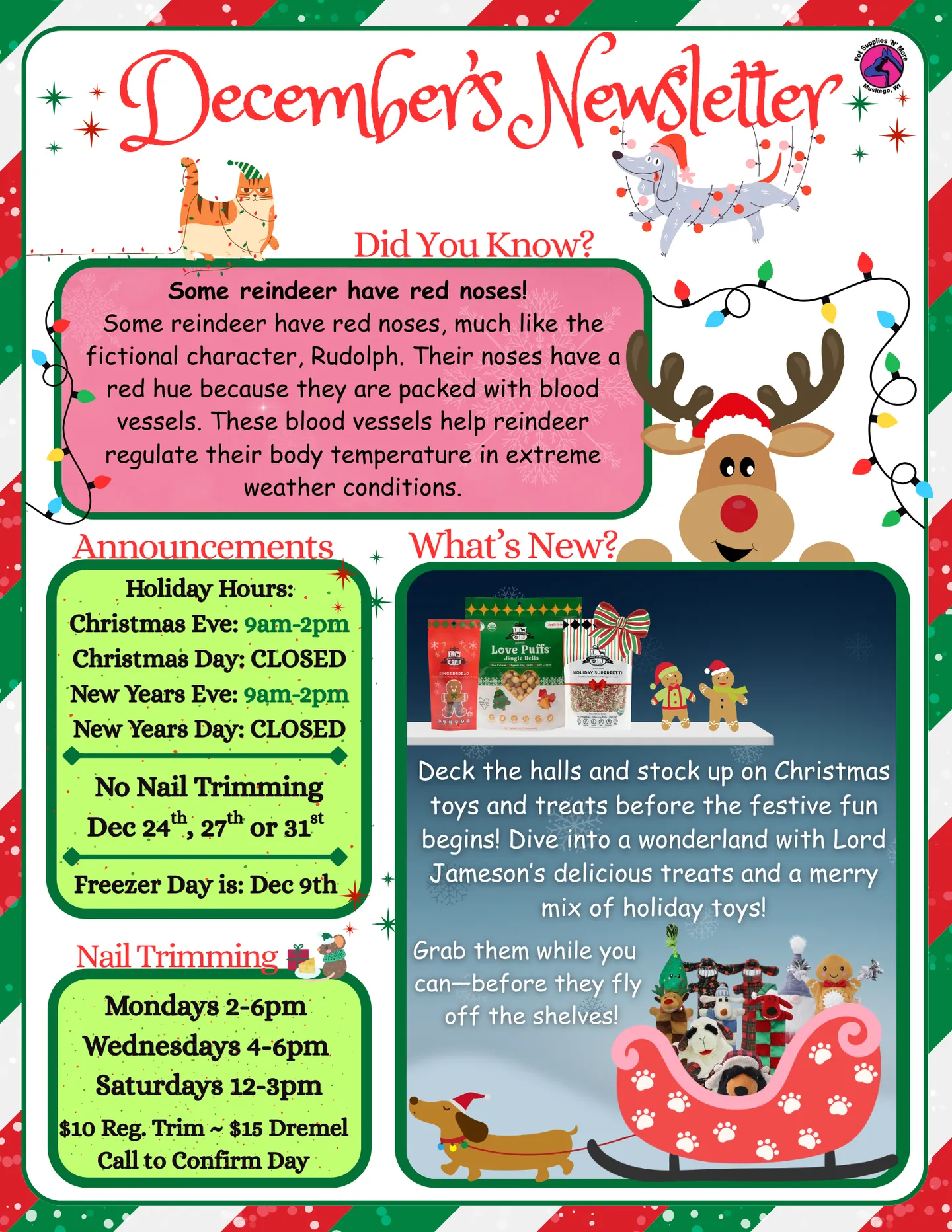 Image of Local Pet Event December Newsletter Nearby