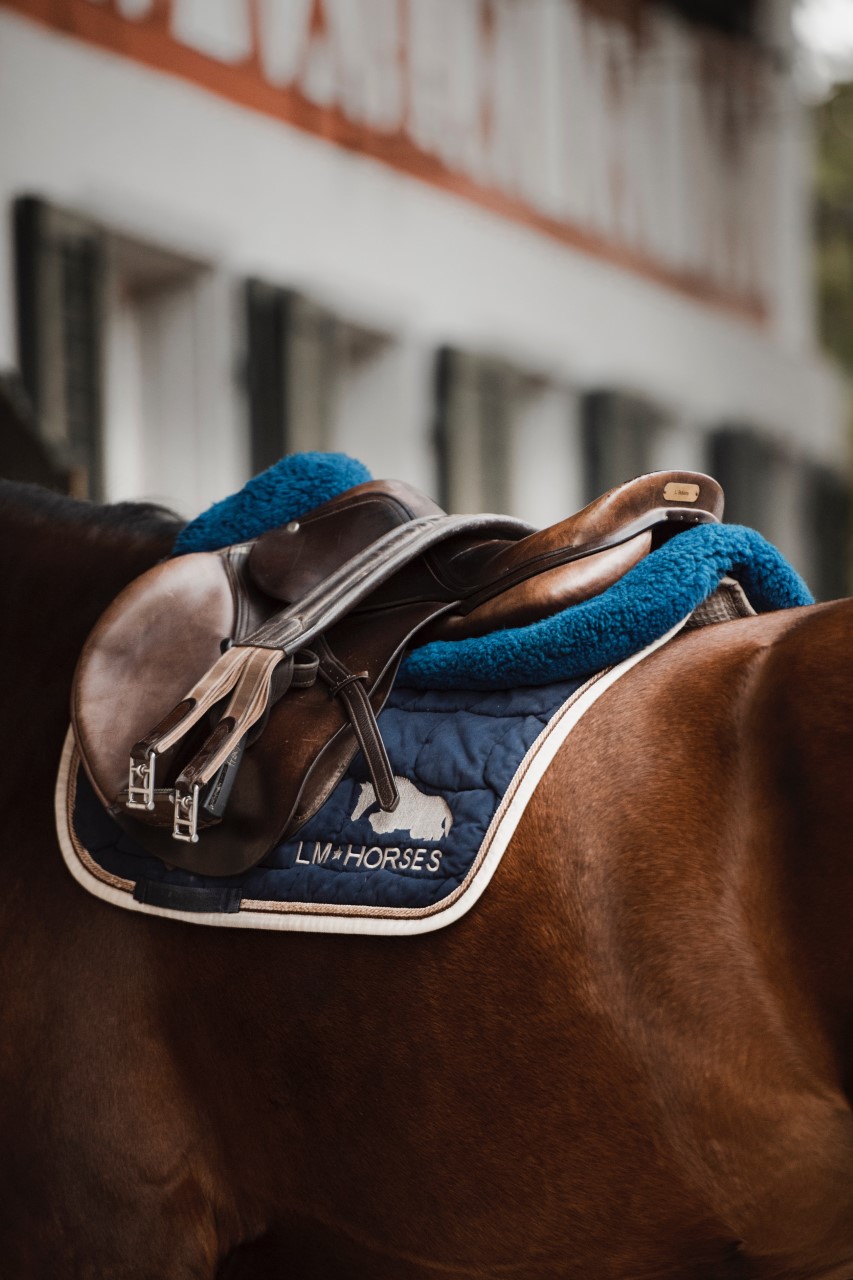 LM HORSES GmbH, Haslistrasse 3 in Windlach