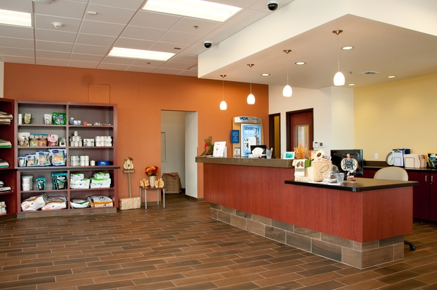 Images VCA Tri City Animal Hospital and Acacia Cat Hospital