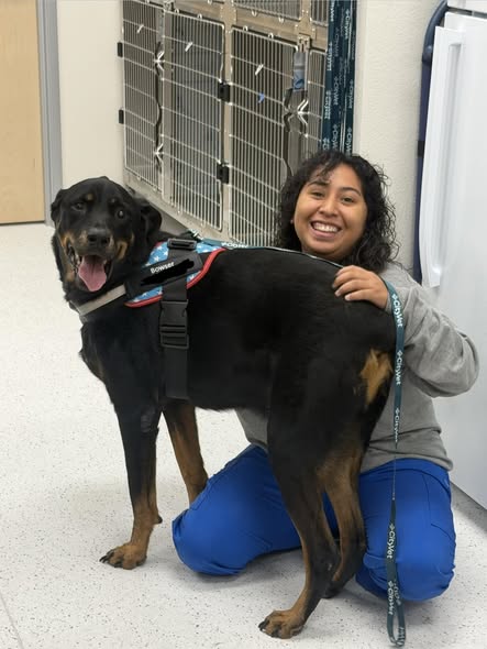 CityVet | Providence team member and dog patient