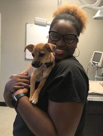 Images North Main Animal Hospital