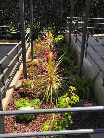 Images Chacon Landscape Professional