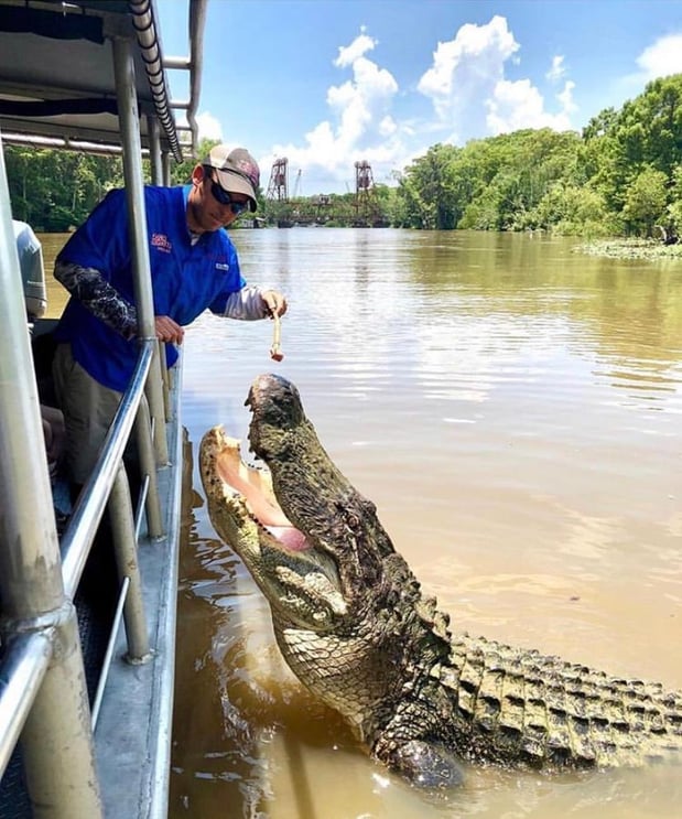 Images Cajun Encounters Tour Company