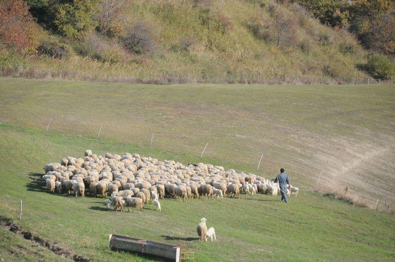 Images Cooperativa Agricola Abbadia di Fiastra