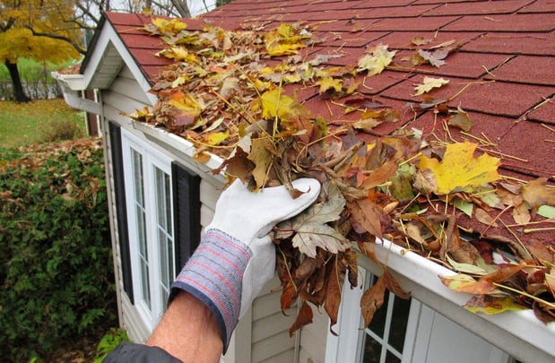 Images Bergen County Landscapers