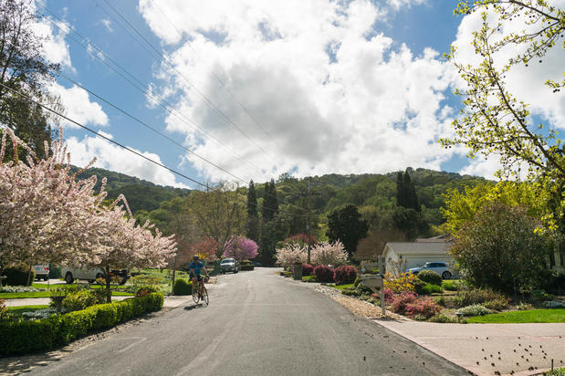 Images Gina Piper | Elation Real Estate
