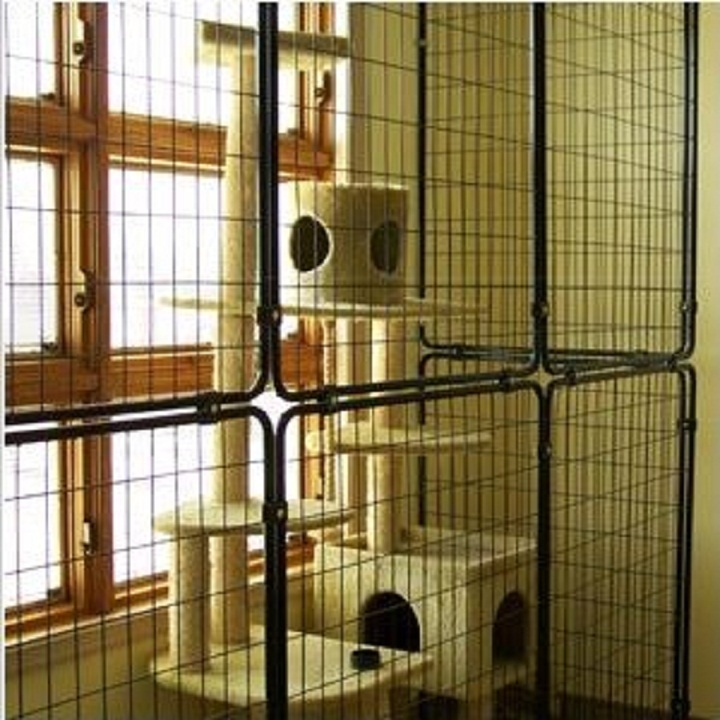Pet suites coupons