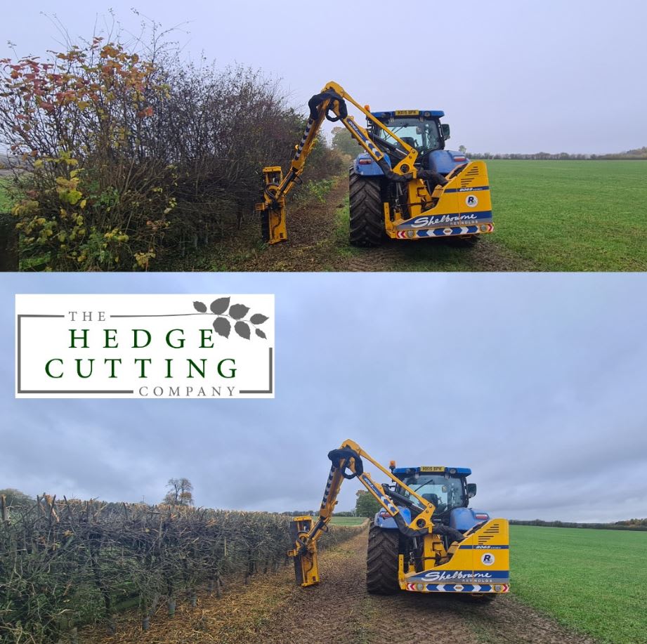 Images The Hedge Cutting Co