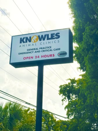 Images VCA Knowles Snapper Creek Animal Hospital