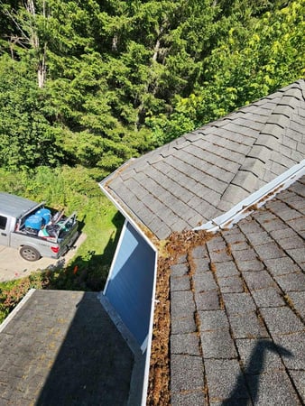 Images NJM Roof & Gutter Cleaning