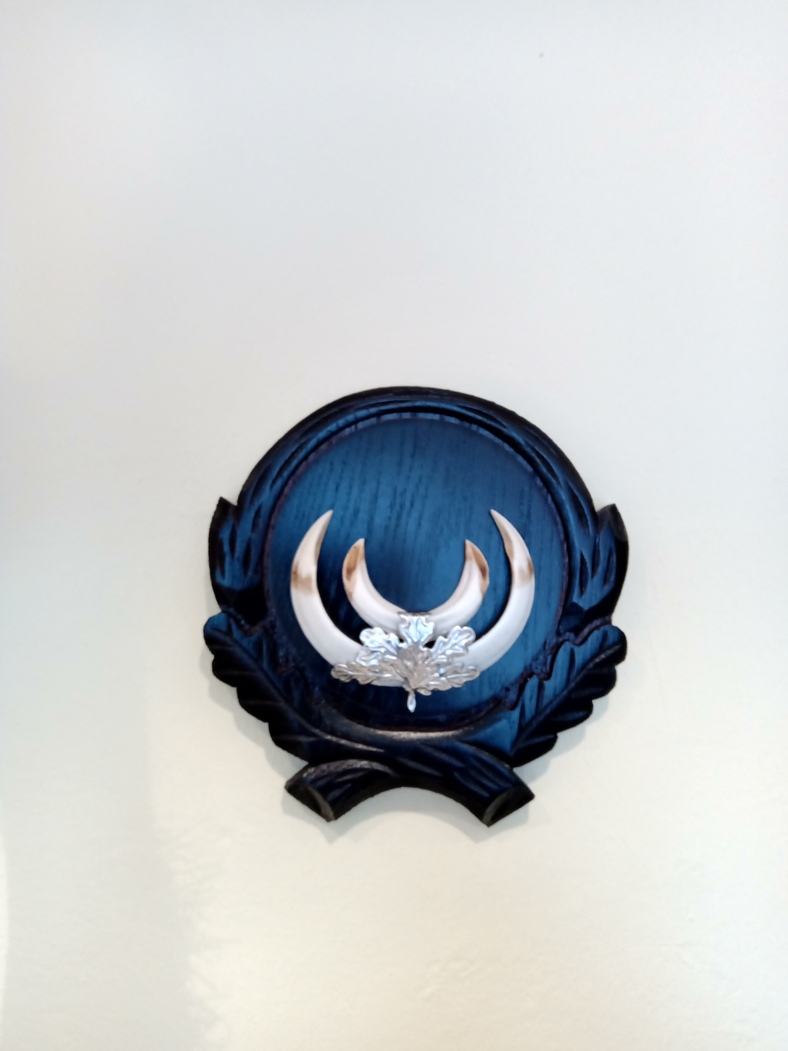 Zoologischer Präparator C. Pawlitschek, Marktstraße 28 in Brixlegg