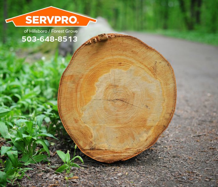 Images SERVPRO of Hillsboro/Forest Grove