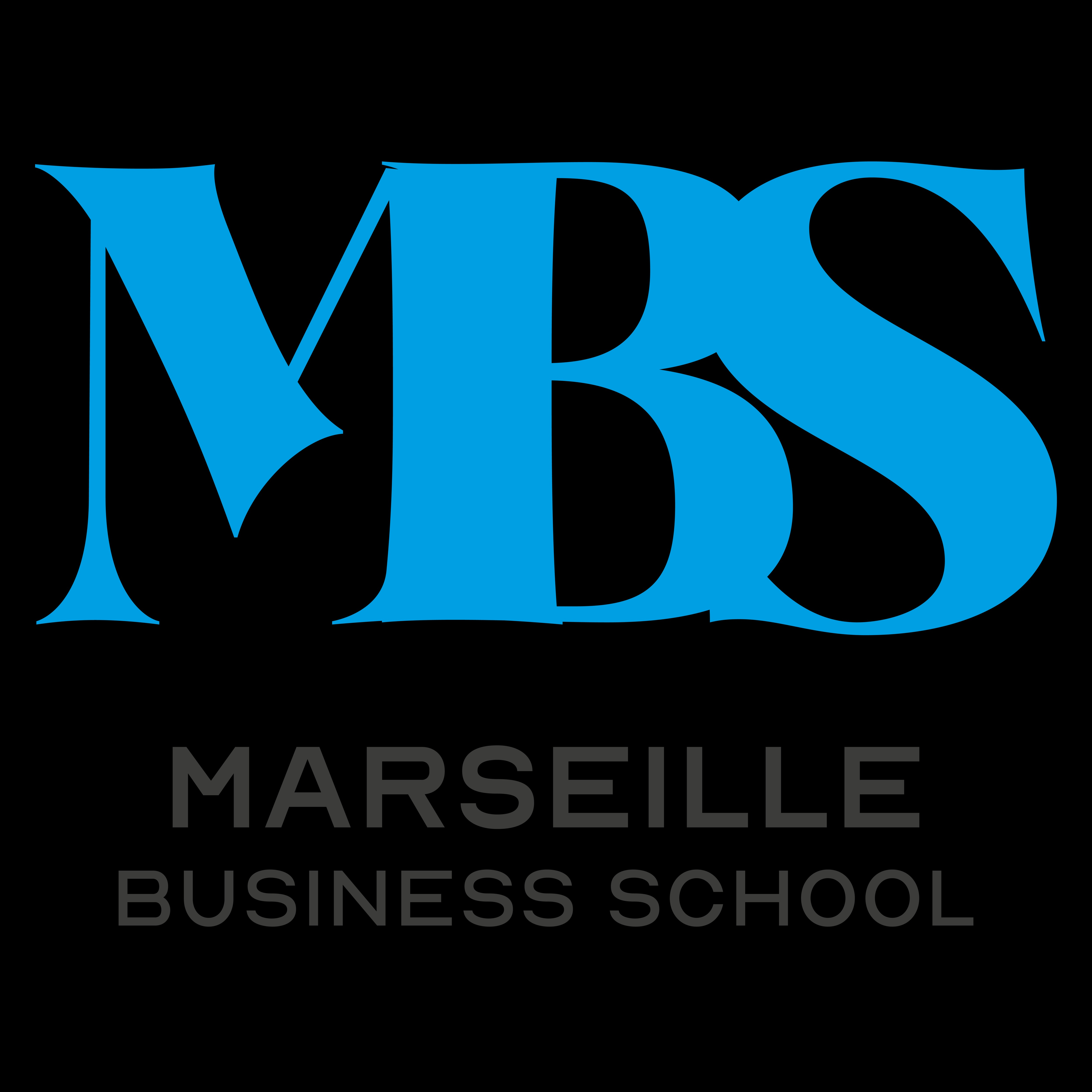Marseille Business School Logo