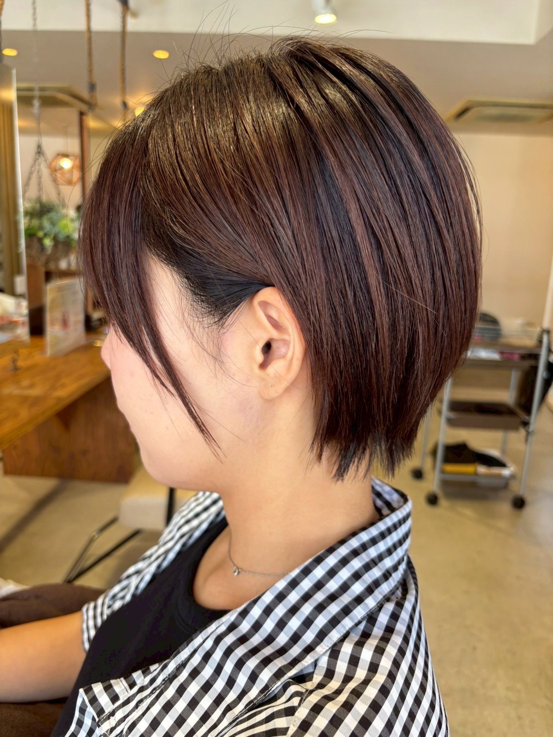 Images PLUS 六地蔵店